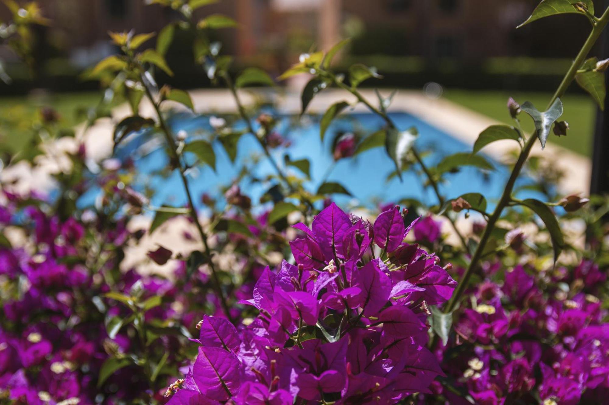 Floridamar Apartment ฮาเวอา ภายนอก รูปภาพ